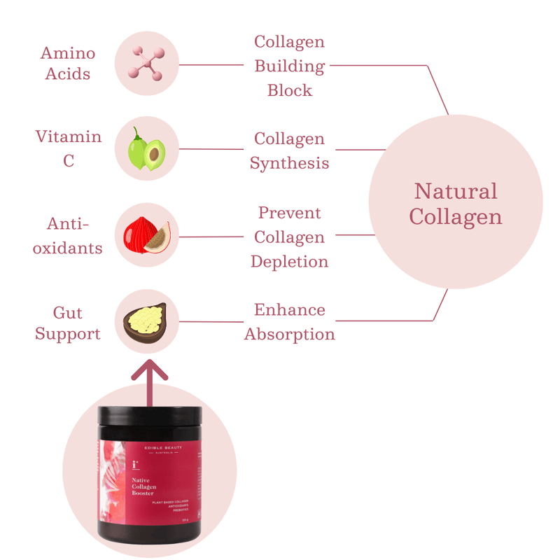 Native Collagen Booster - Edible Beauty Australia